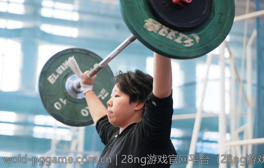 28ng游戏官网平台（28ng游戏官网平台的游戏教程和学习资源）