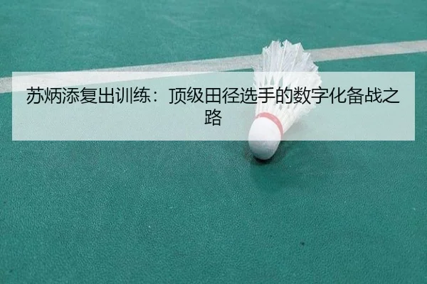 su-bing-tian-fu-chu-xun-lian-ding-ji-tian-jing-xuan-shou-de-shu-zi-hua-bei-zhan-zhi-lu-2-656.jpg